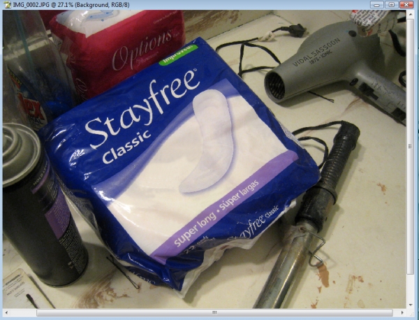 Creation of My sister is a slob: Step 3